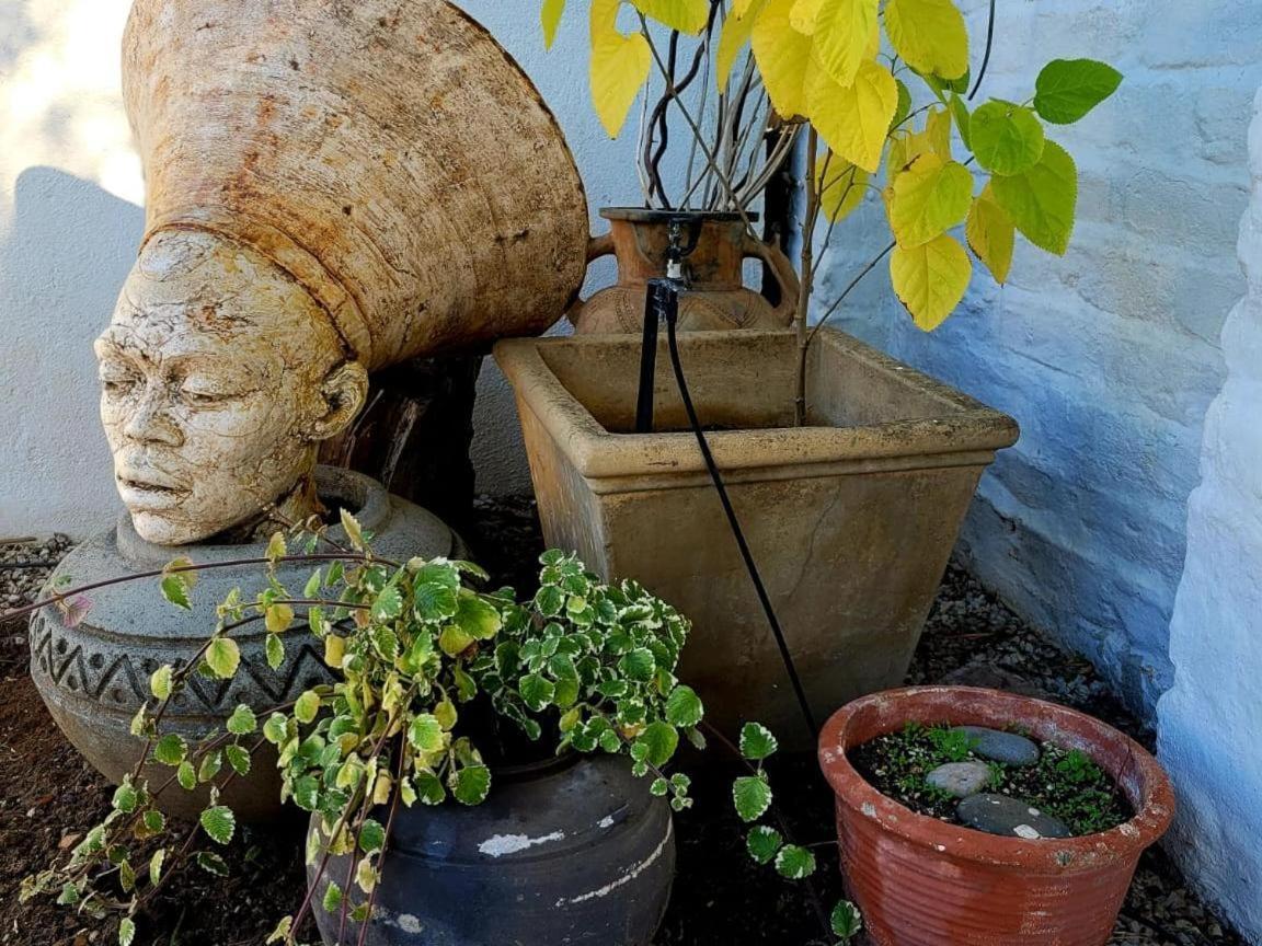 Acacia Home Graaff-Reinet Dış mekan fotoğraf